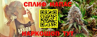 дживик Камышлов