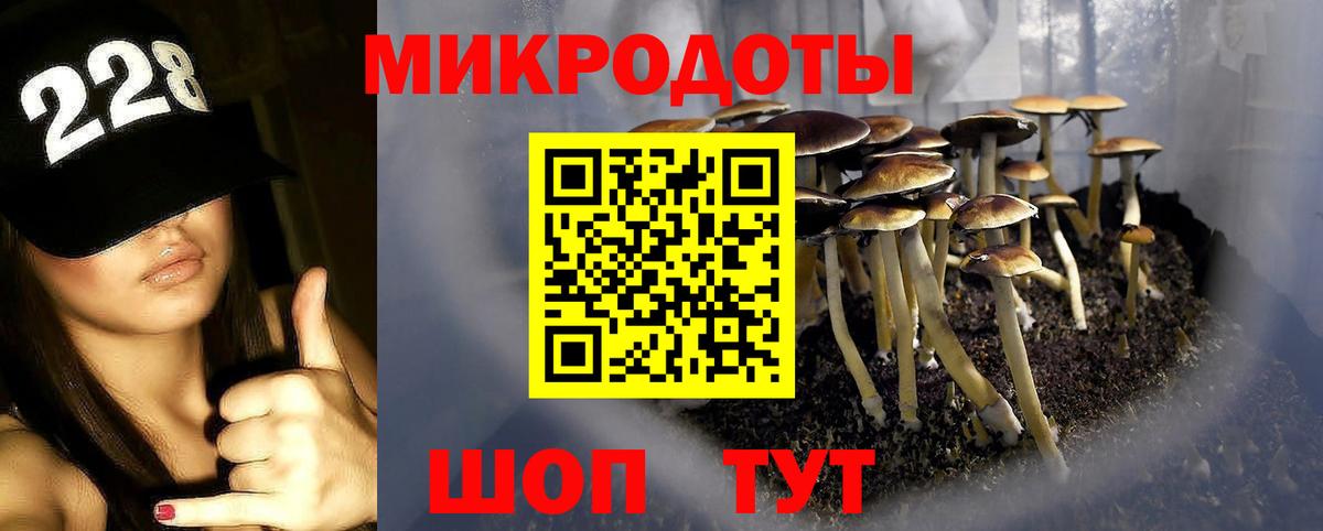 Галлюциногенные грибы MAGIC MUSHROOMS  Вход с VPN  Чехов 